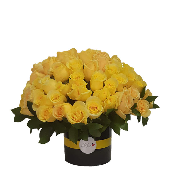 Caja redonda de rosas amarillas | Casa Anturio