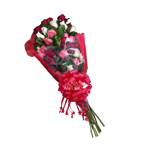 Bouquet de Rosas Rojas, Rosadas y Blancas | Casa Anturio